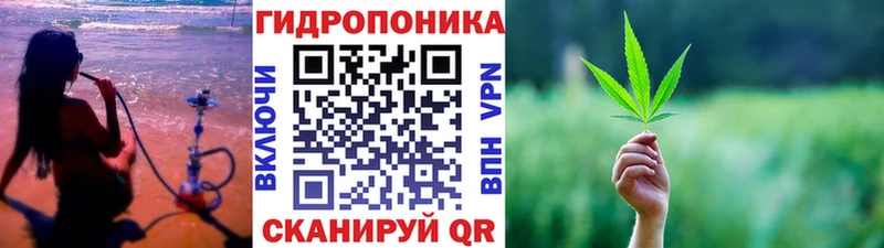 Бошки Шишки конопля  даркнет Telegram  Исилькуль  сколько стоит 